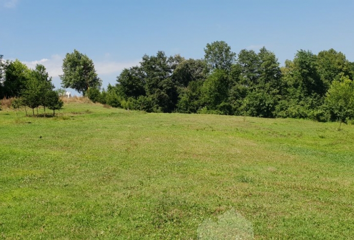 SAKARYA HENDEK KALAYIK MAHALLESİNDE 25 DÖNÜM FINDIKLIK VE ARSA