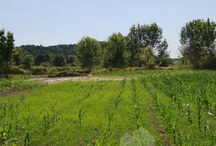 ŞEYHLER MAHALLESİNE 15 DÖNÜM TARLA