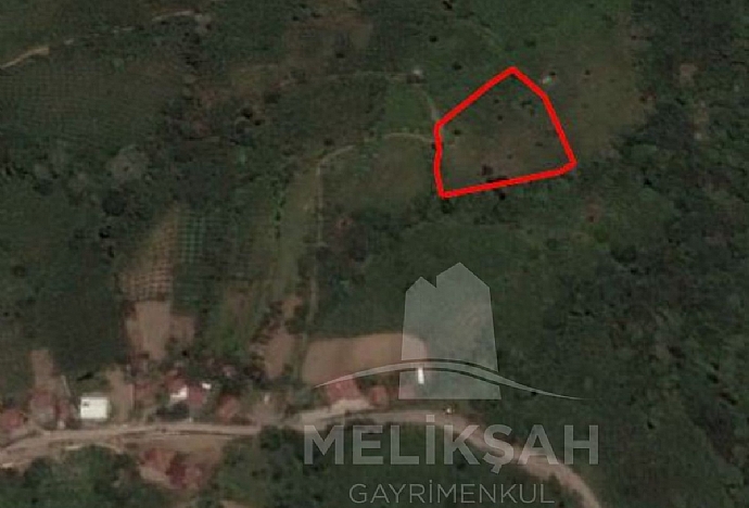 AKSU MAHALLESİNDE 6 DÖNÜM FINDIKLIK